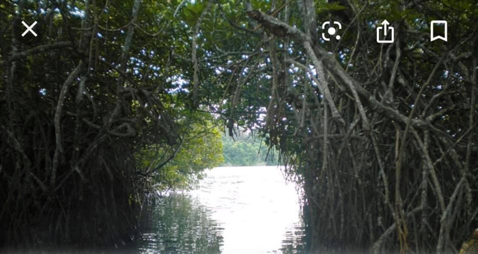 Sea Crest Beach Villa Ambalangoda  Buitenkant foto